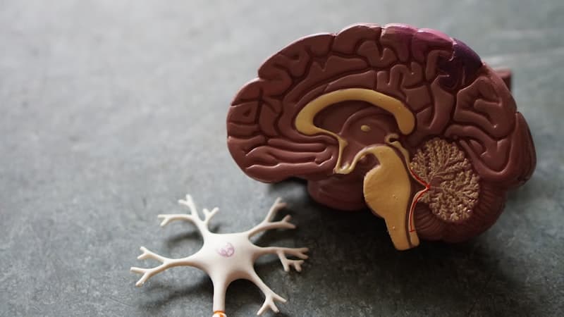 Mental Health Resources in Morris County: Your Complete Guide