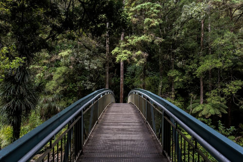 A wooden bridge crossing through a quiet forest, symbolizing the journey of transformation